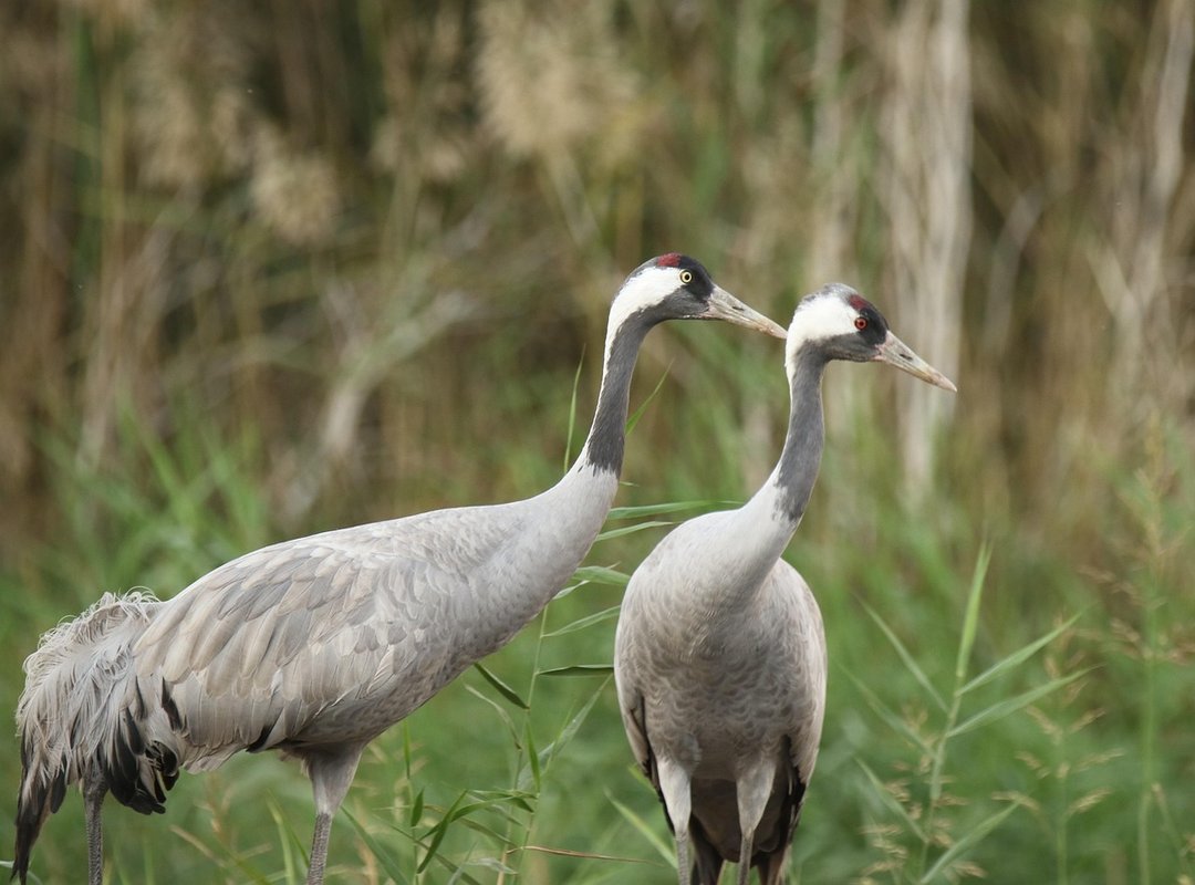 Decoradtech Home Devices From Decoratoradvice