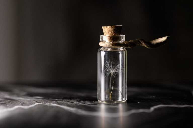 house preservation guide livpristclean