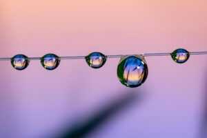 livpristclean home guidelines by livingpristine