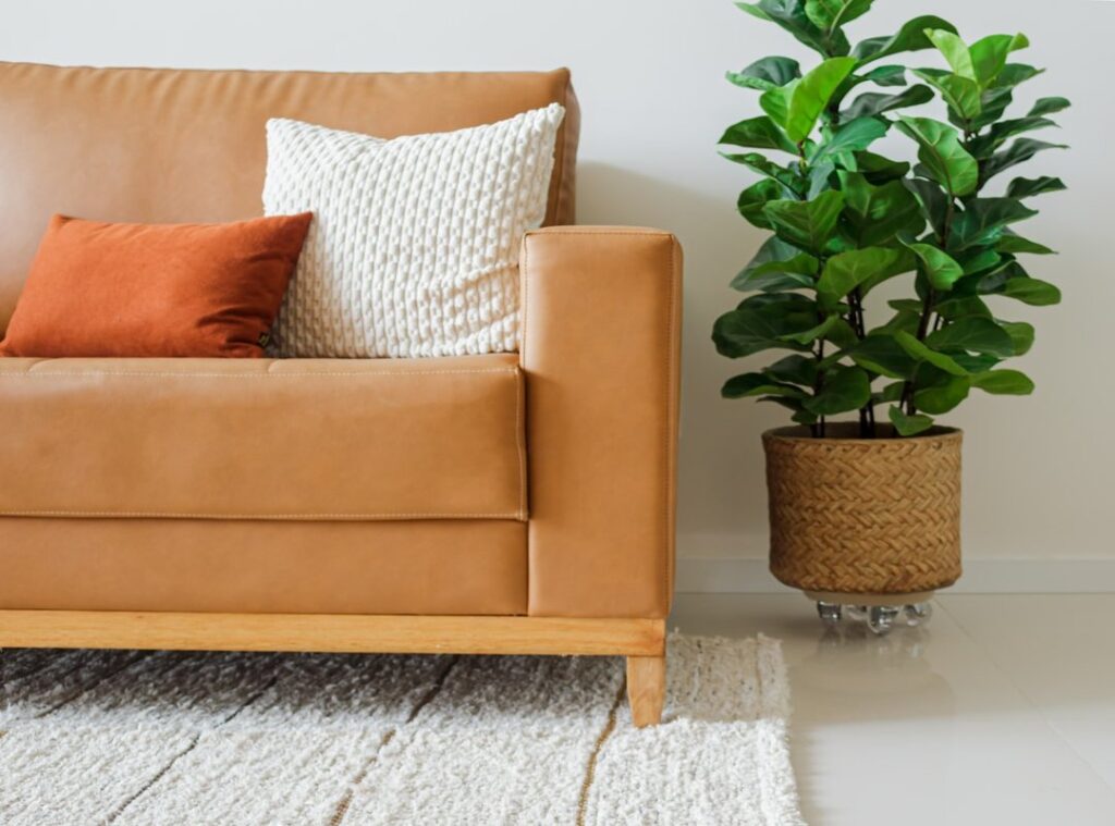 cozy home environment